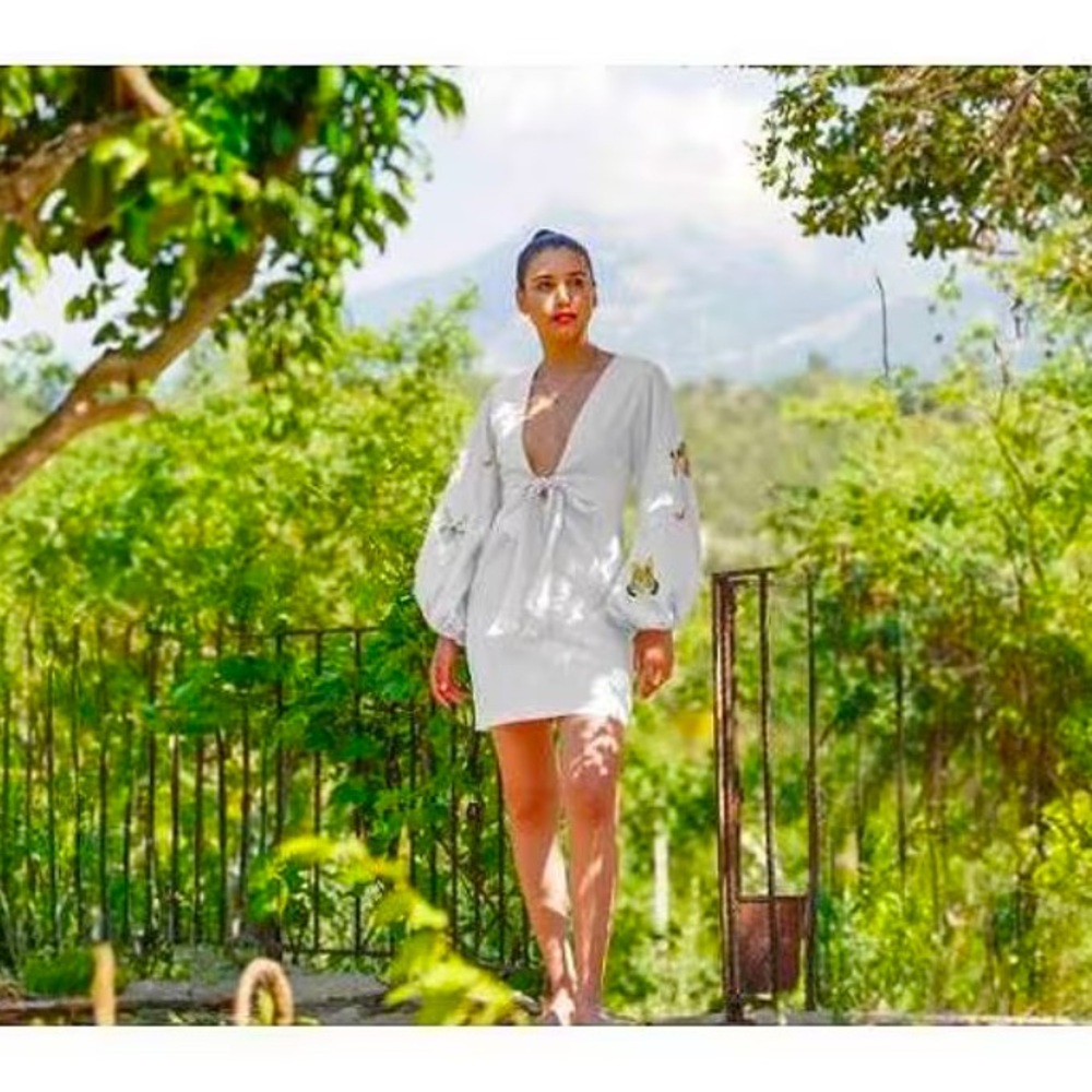 Fanm Mon White Larson Embroidered Long Sleeve V Neckline Mini Dress Small $359